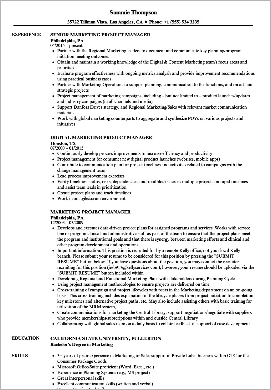 Marketing Project Manager Resume Summary