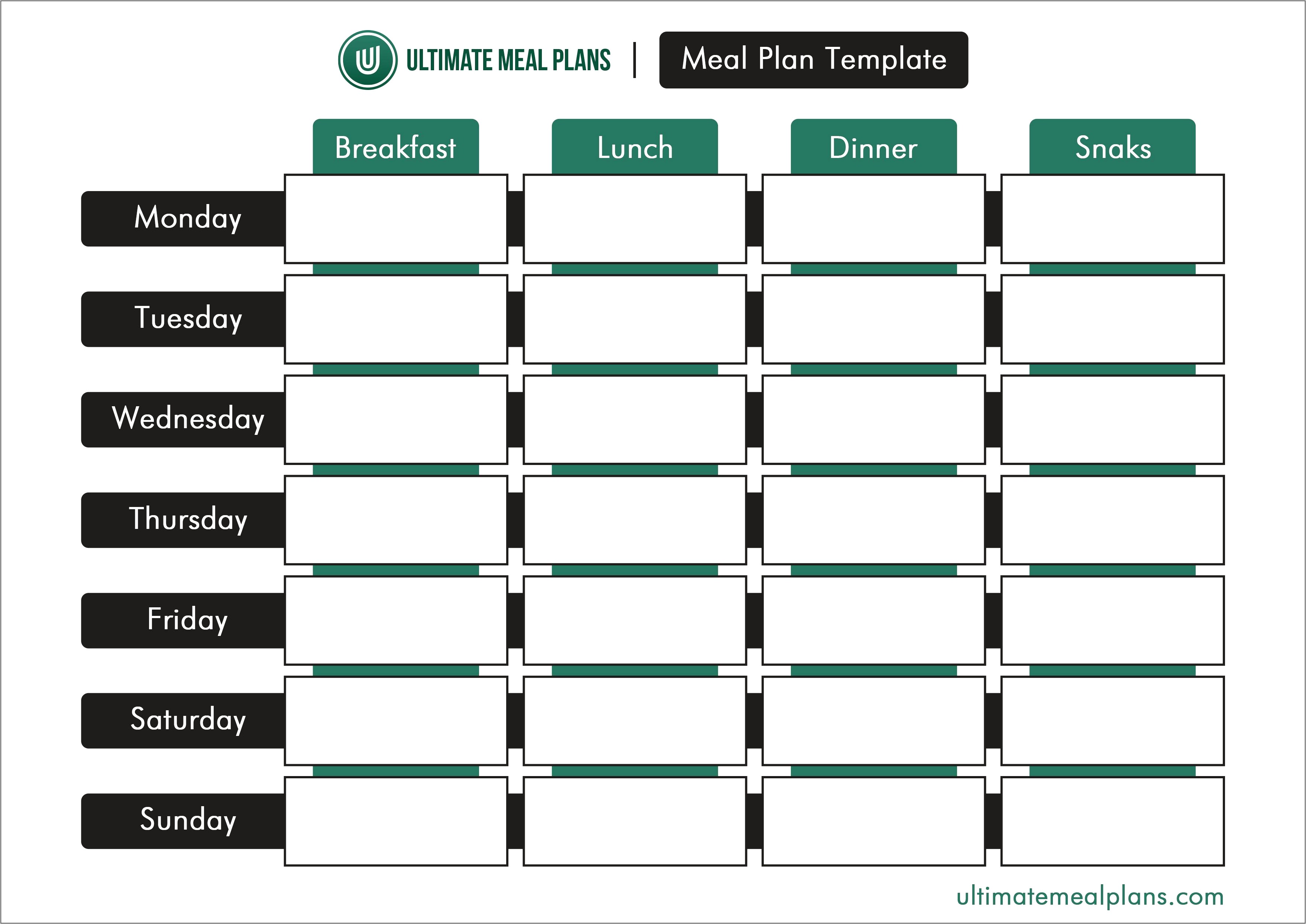 Meal Prep Client Questionnaire Template Download