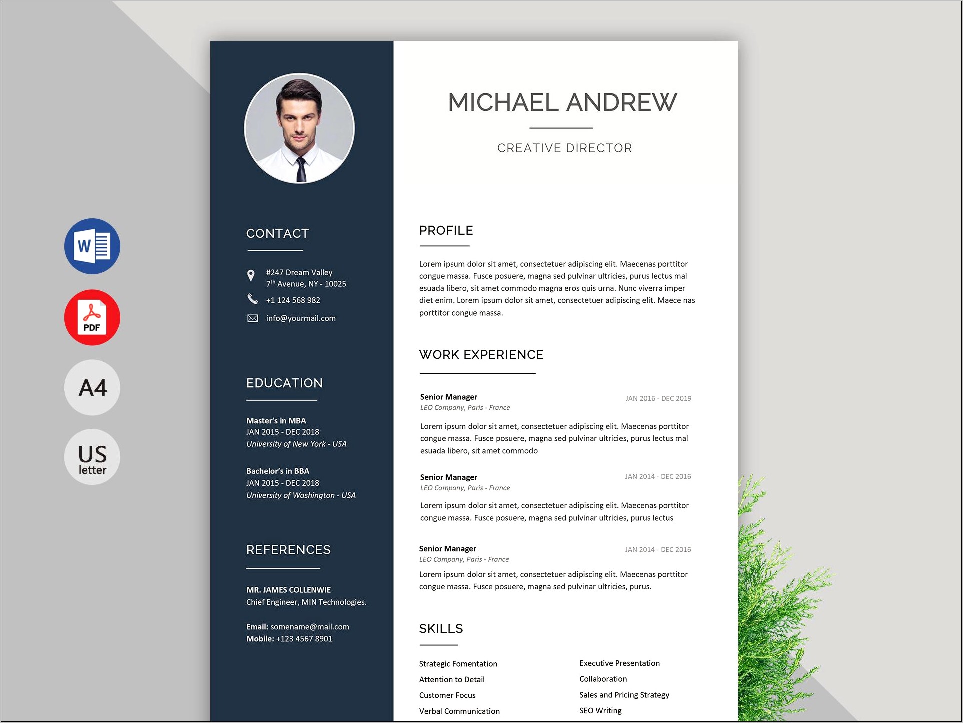 Microsoft Word It Resume Example