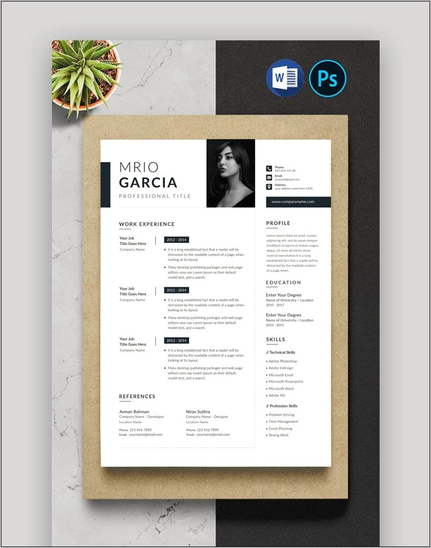 Minimalistic Resume Templates Free Word