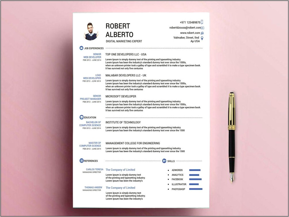 Modern Cv Template Free Download Uk