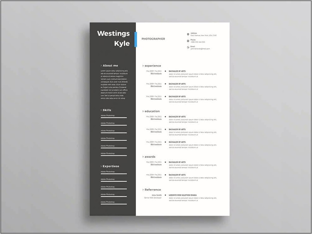 Modern Resume Template 2019 Free