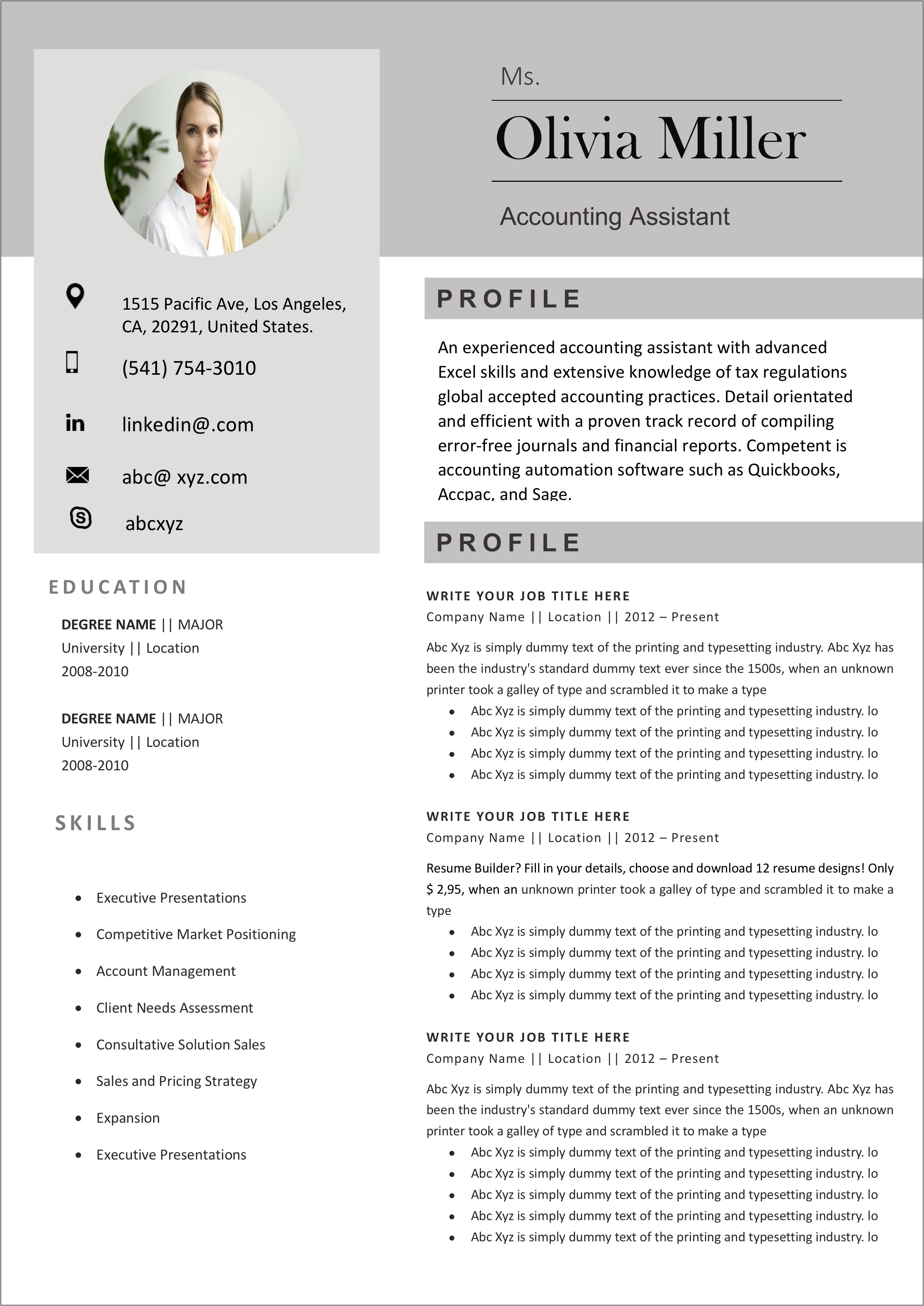 Modern Resume Template Free Finance