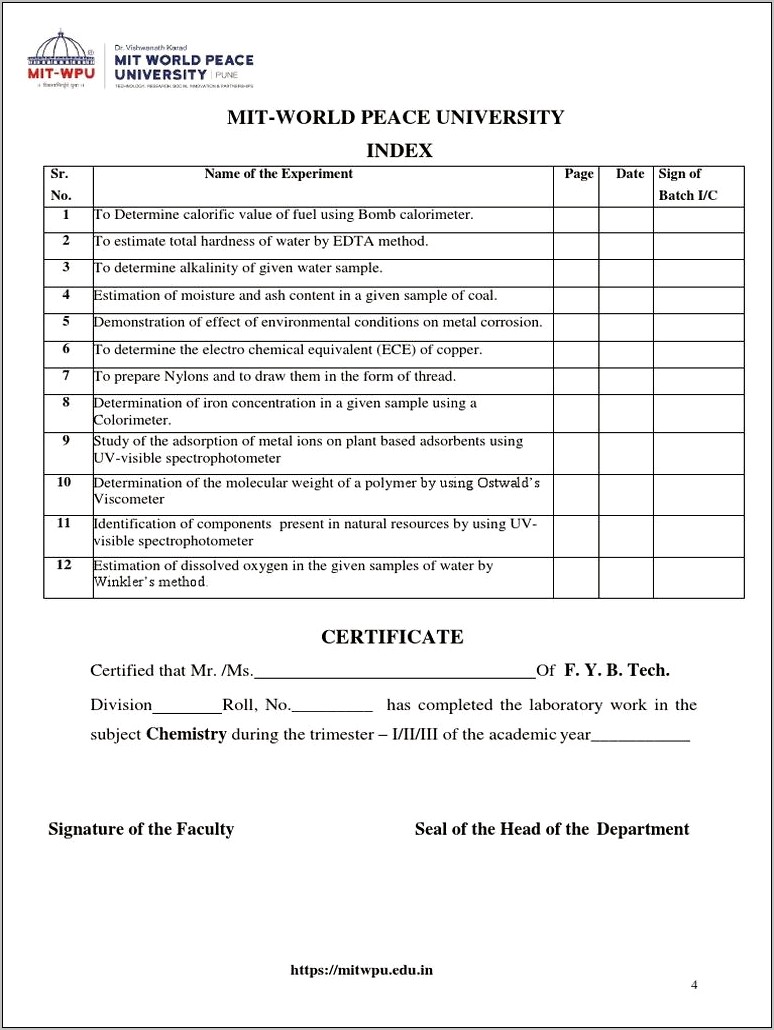 Mr Lanner Sample Resume Oxygen