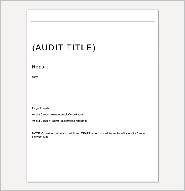 Music Company Audit Report Template Download