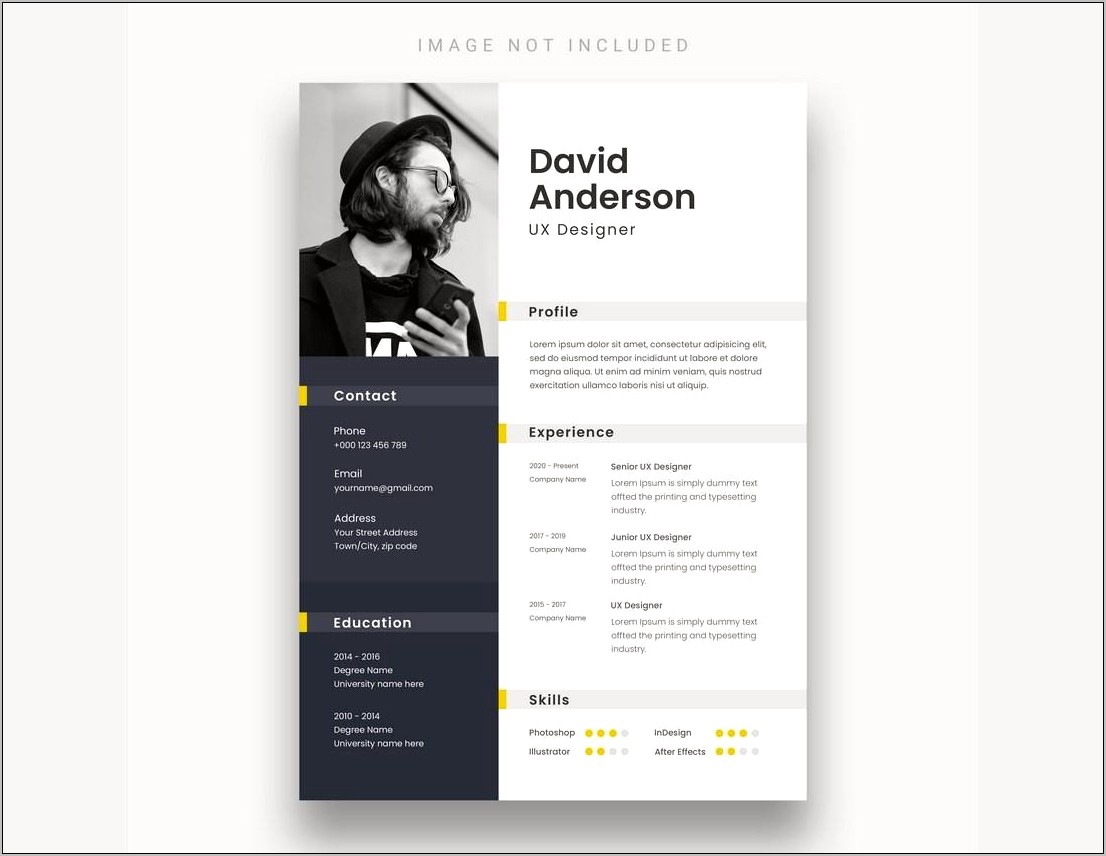 Net Absolutely Free Resume Template