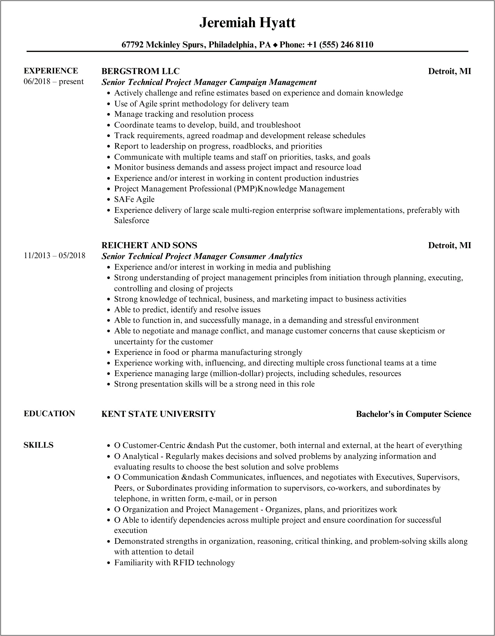 Net Technical Project Manager Resume