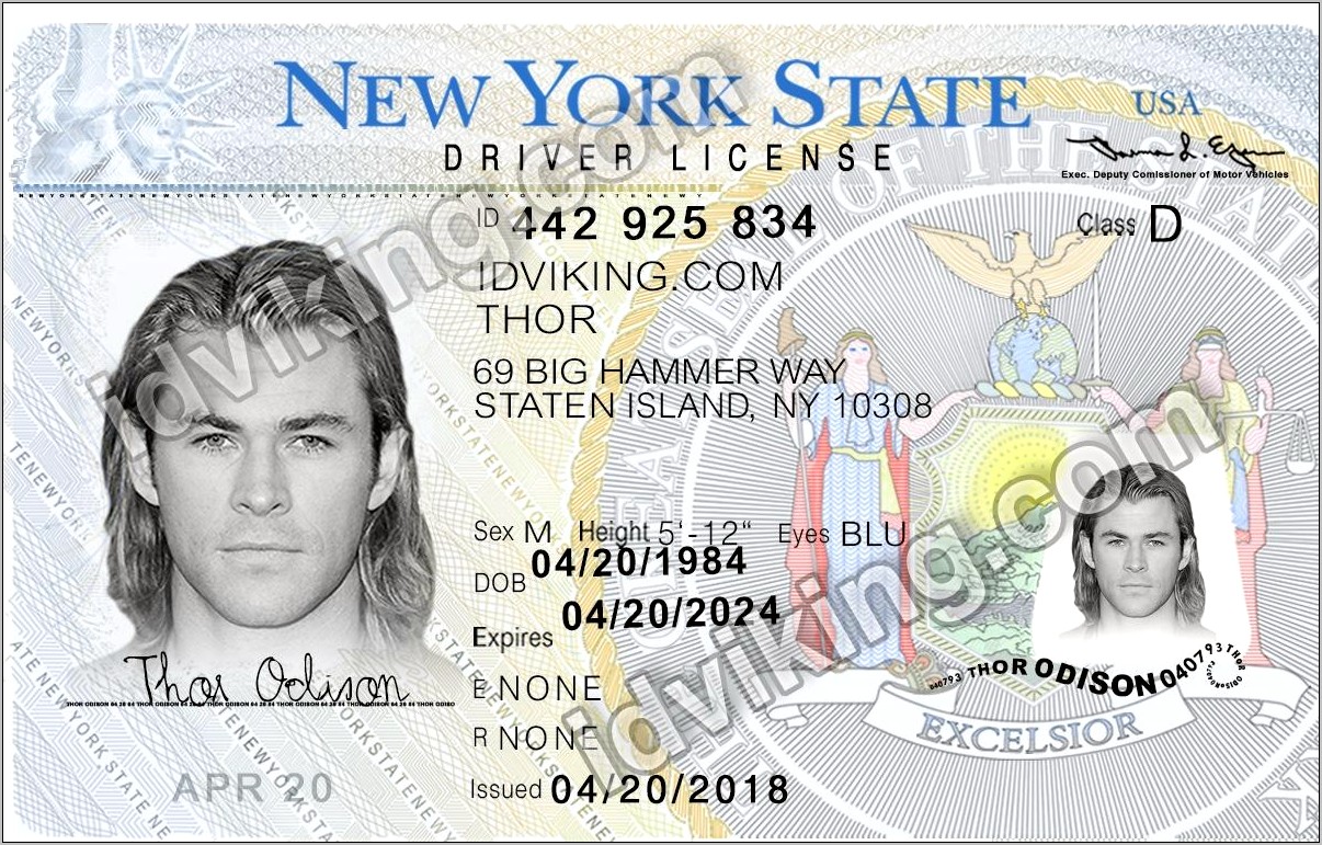 New York Drivers License Template Download