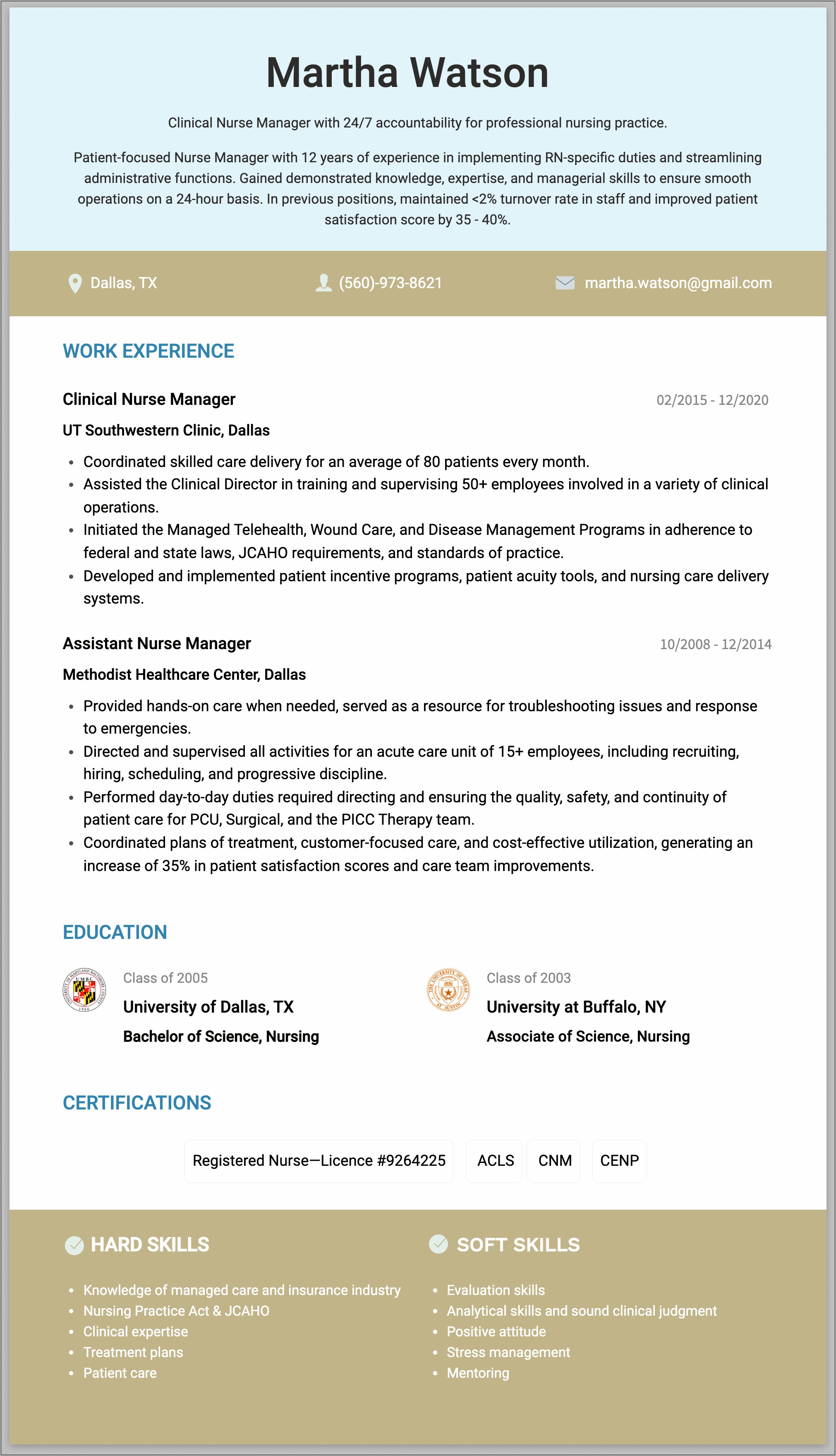 Nurse Executive Leadership Resume Examples