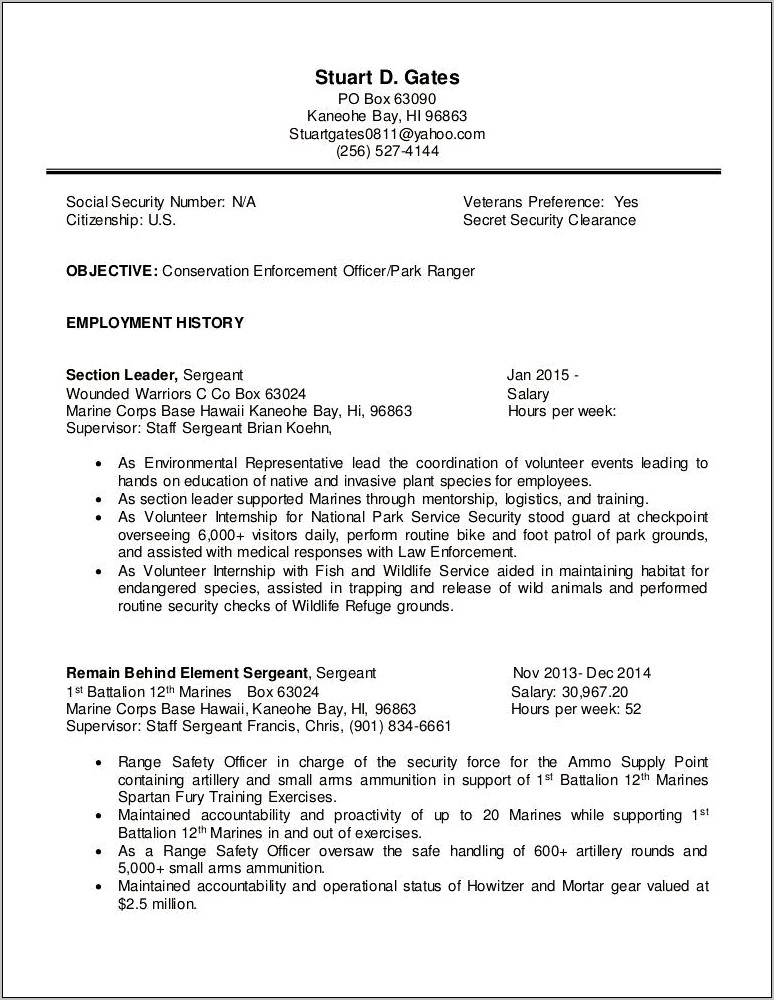 Objectives For A Sergeant Resume