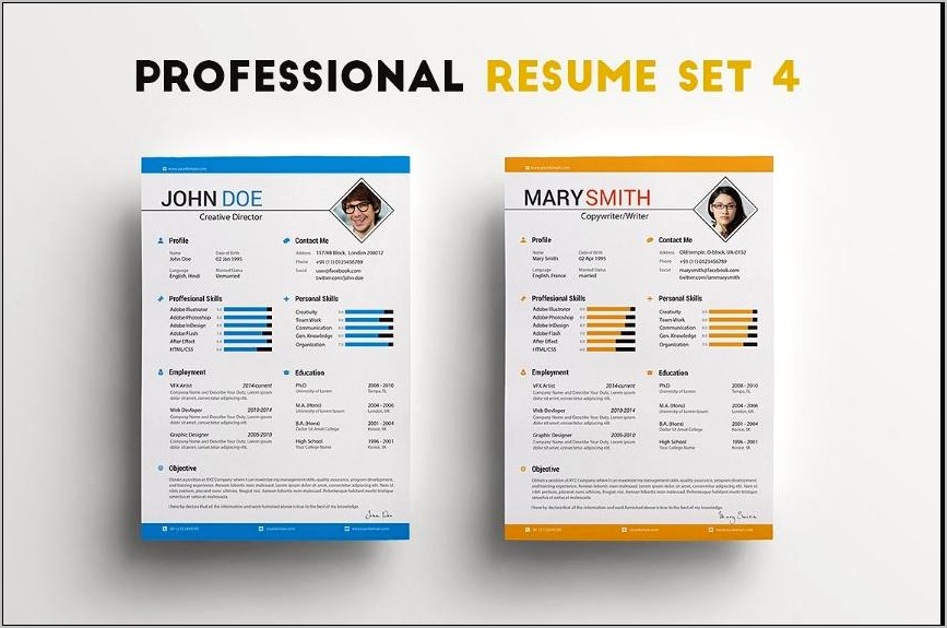 One Page Resume Sample Executive