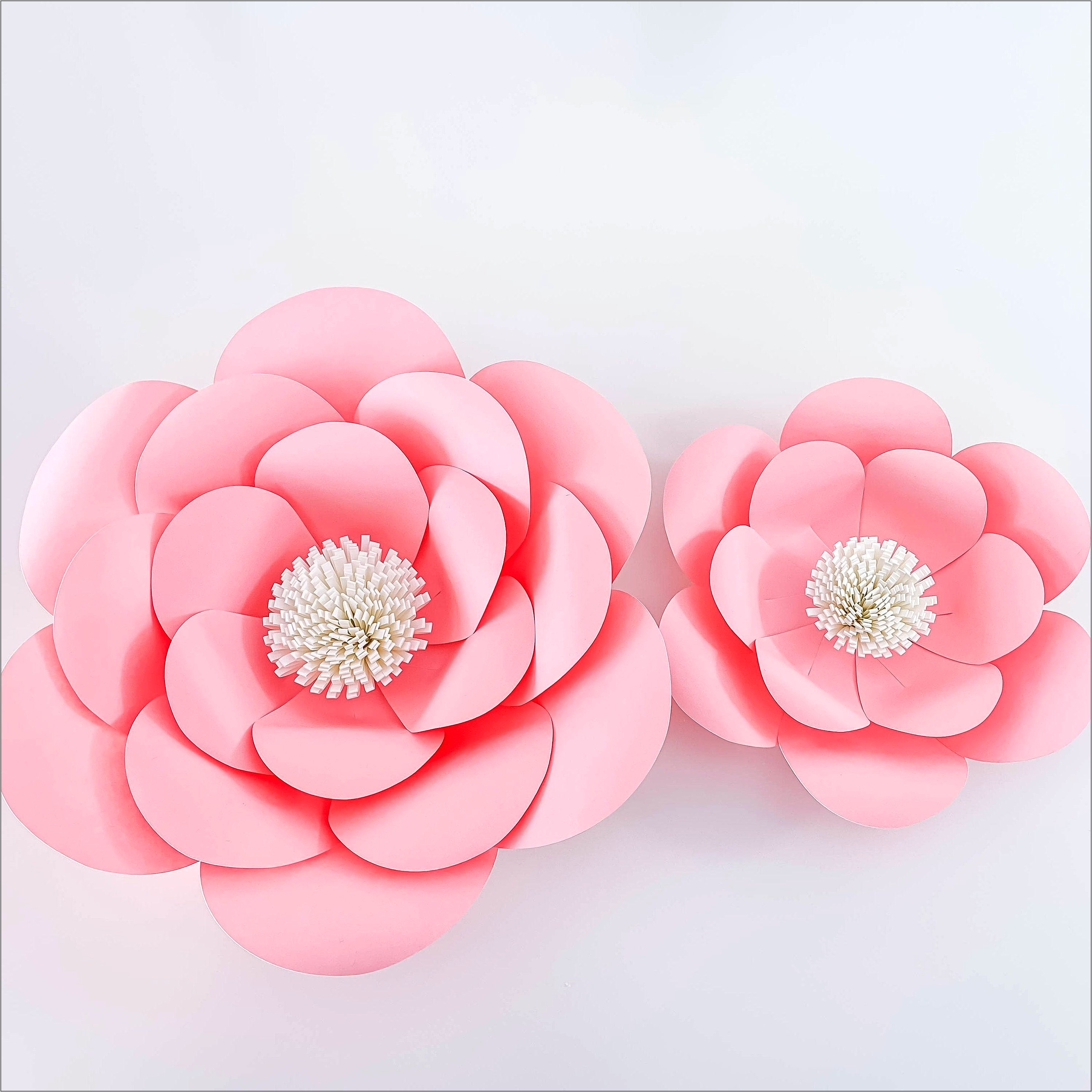 Paper Flower Free Template With Petal Count