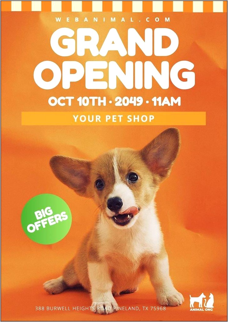 Pet Store Grand Opening Flyer Template Free