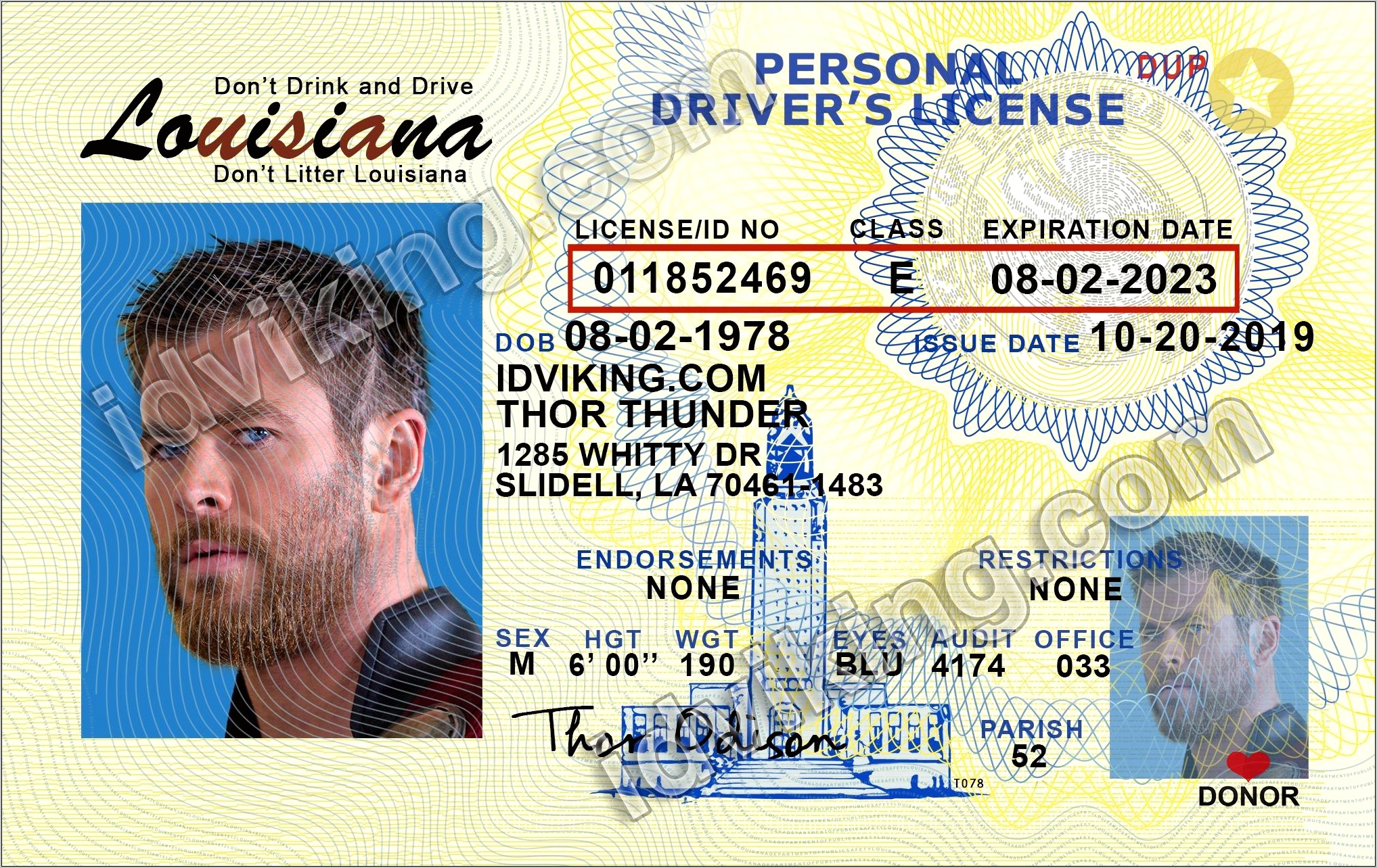 Photoshop Drivers License Template Download Free