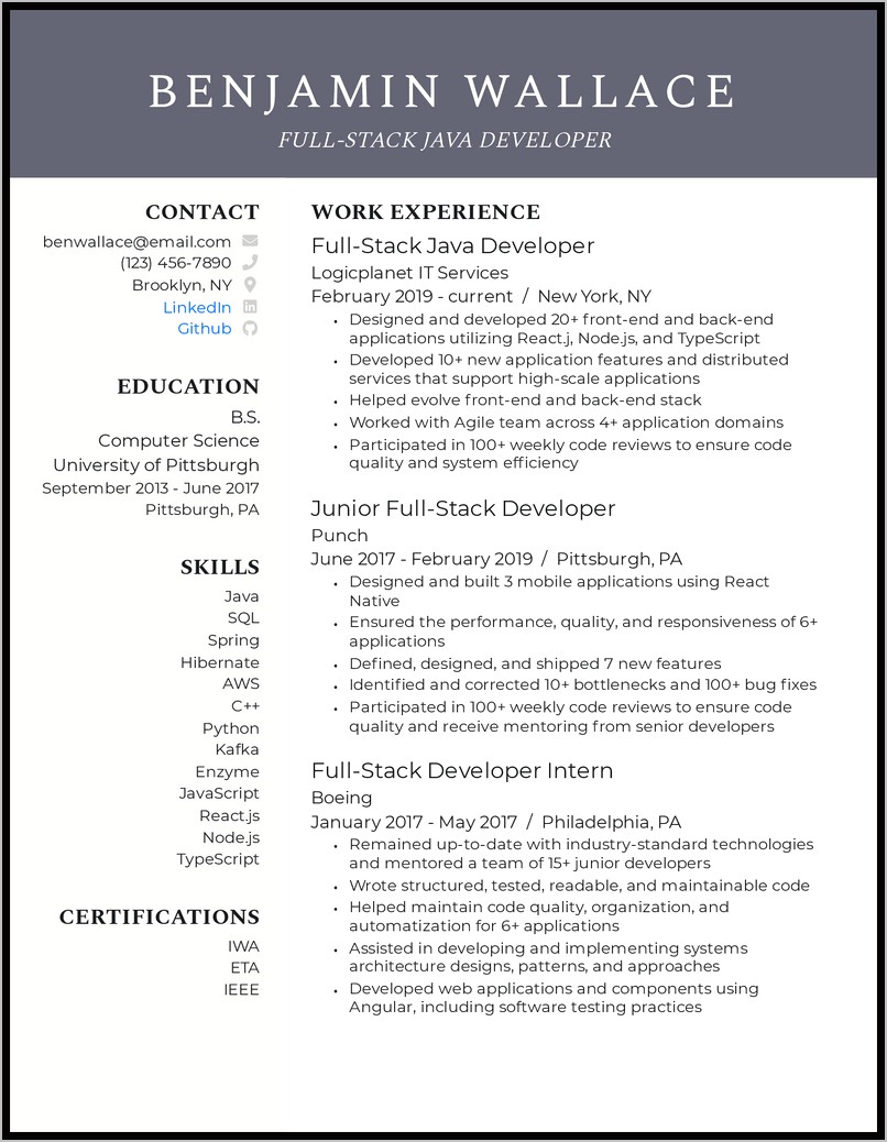 Php Tech Lead Resume Sample