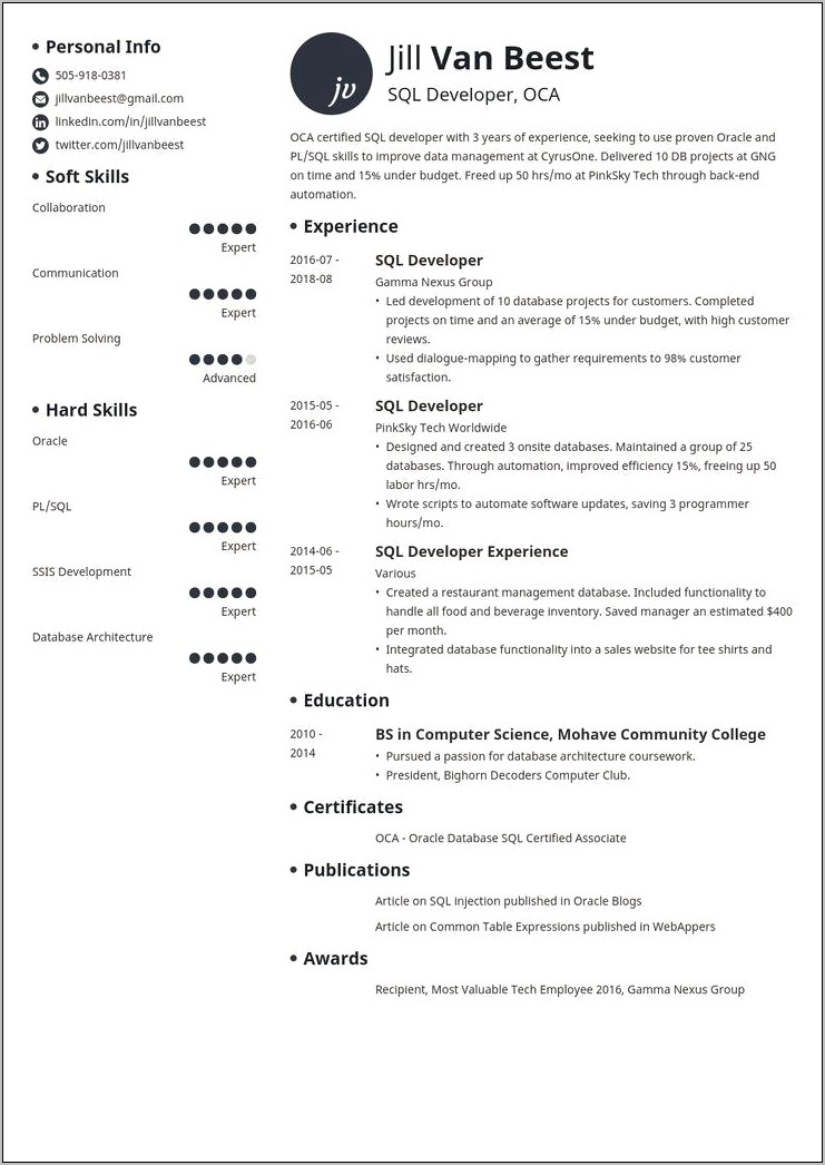 Pl Sql Developer Job Resume