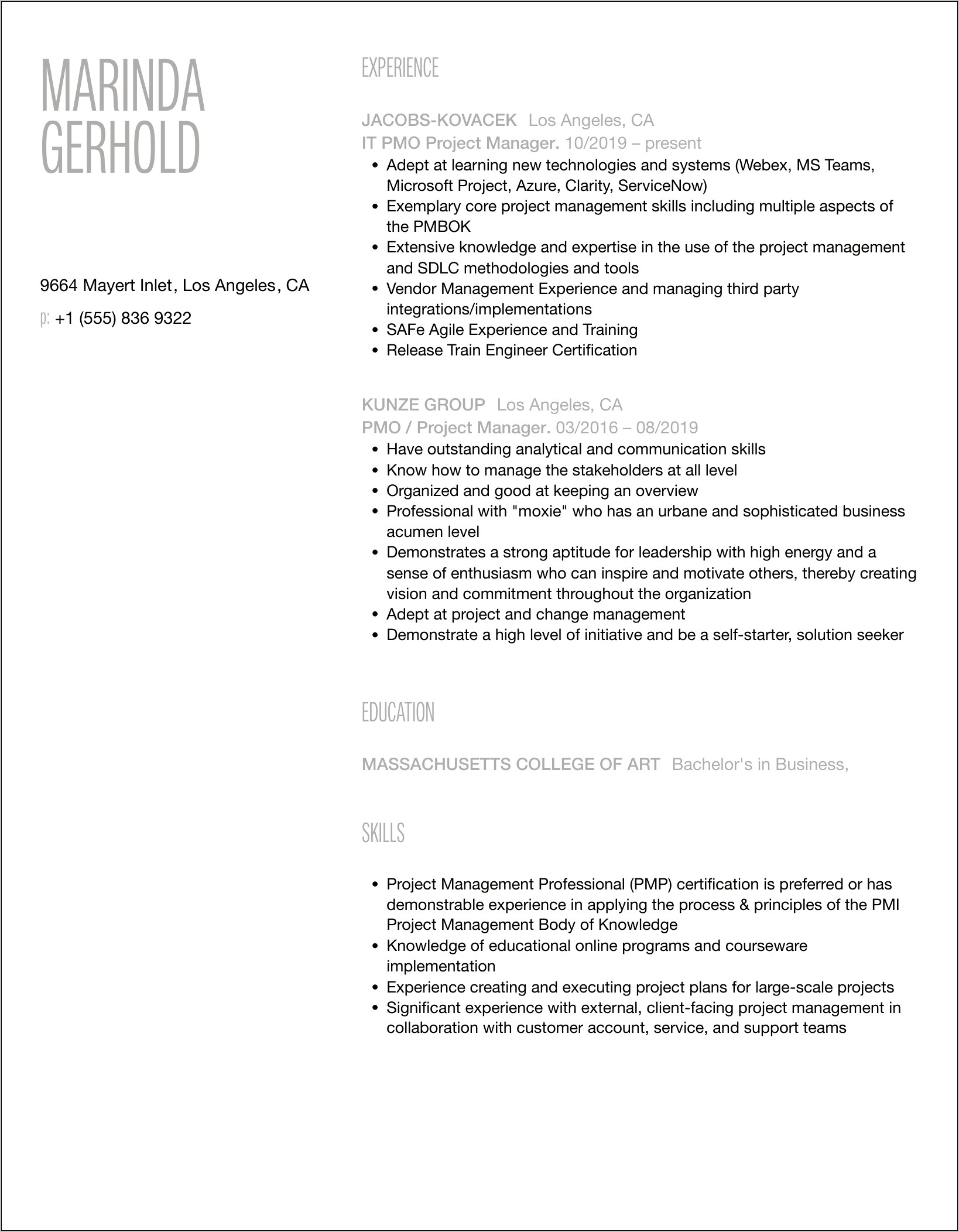 Pmo Project Manager Resume Sample