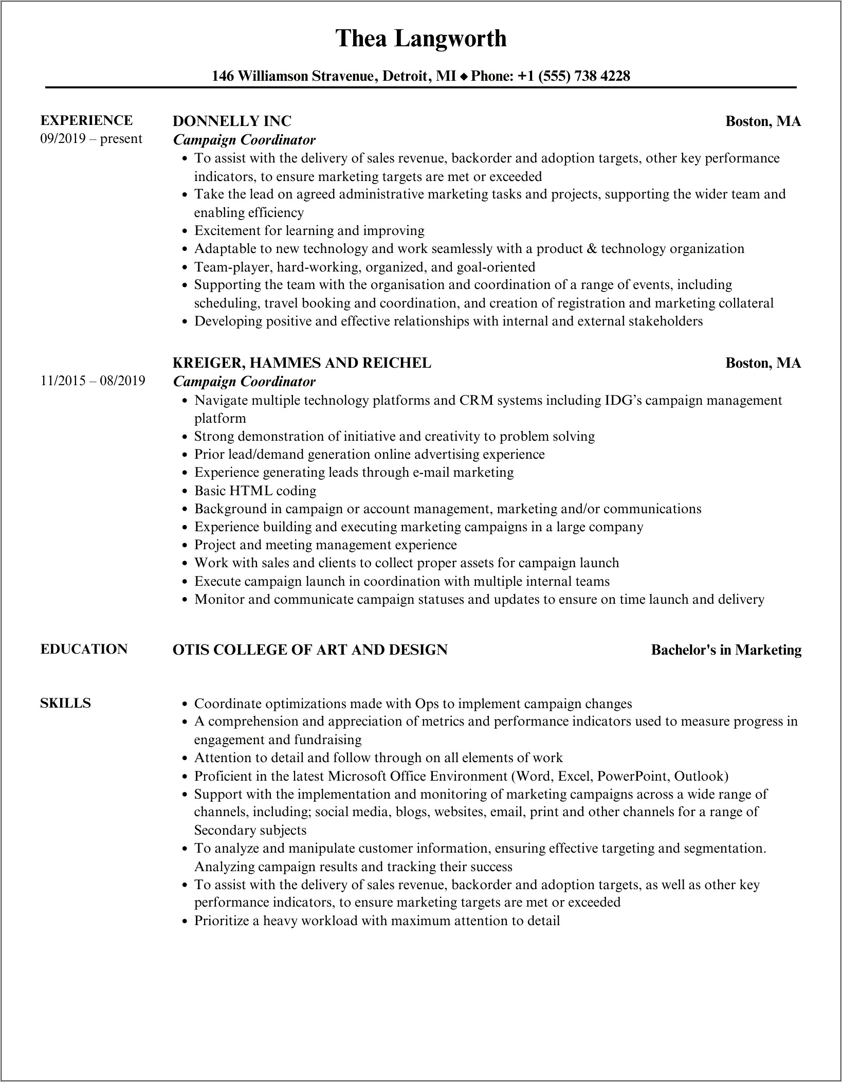 Political Campaign Representative Resume Sample