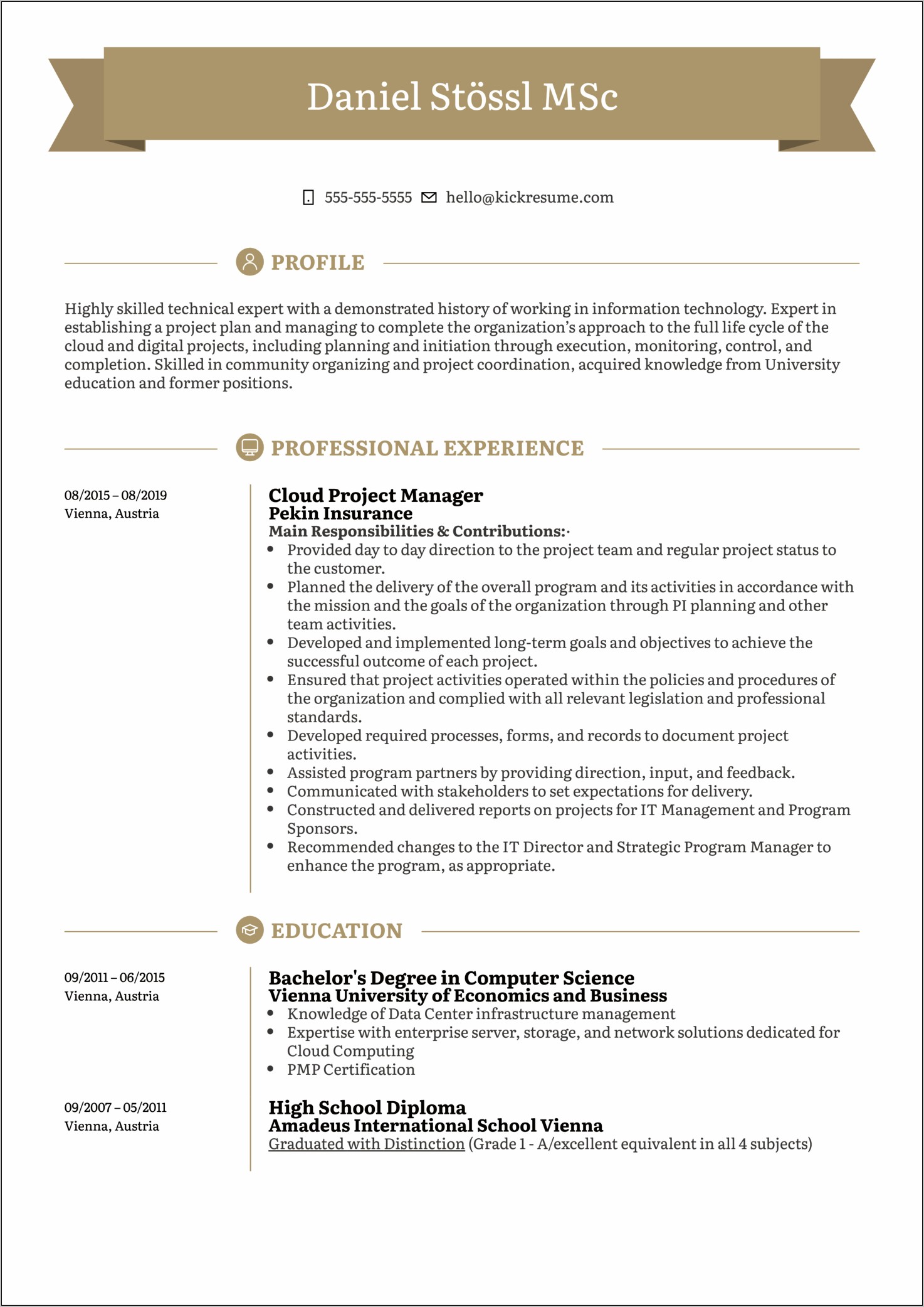 Power Bi Project Manager Resume