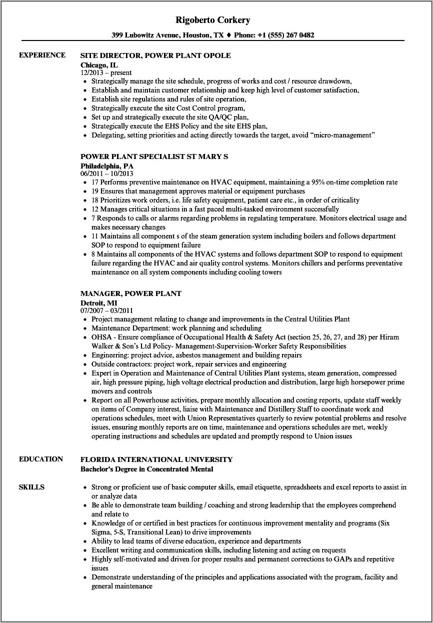 Power Plant Electrical Manager Resume