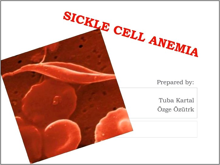 Powerpoint Templates Free Download Red Blood Cells