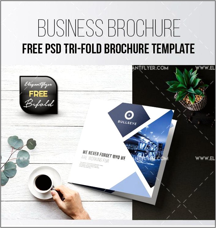 Professional Brochure Templates Psd Free Download