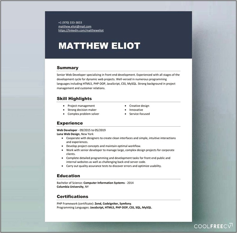 Professional Cv Template Free Download Doc