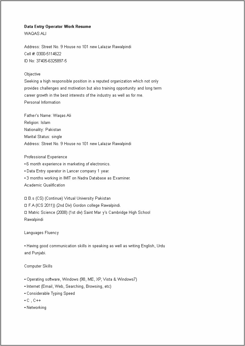 Professional Data Entry Resume Example