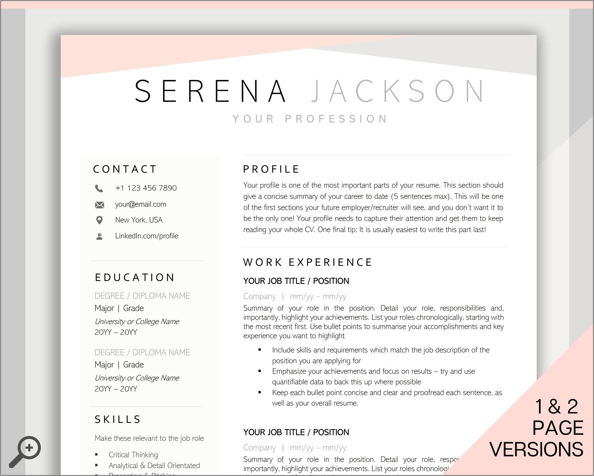 Professional Executive Resume Template Free