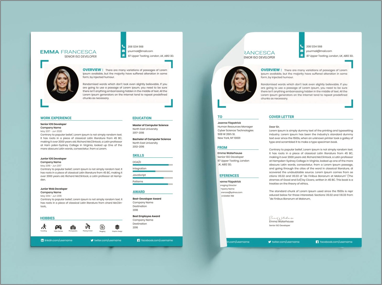 Professional Graphic Design Resume Examples