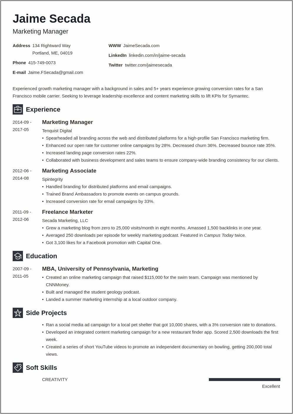 Professional Marketing Management Resume Samples