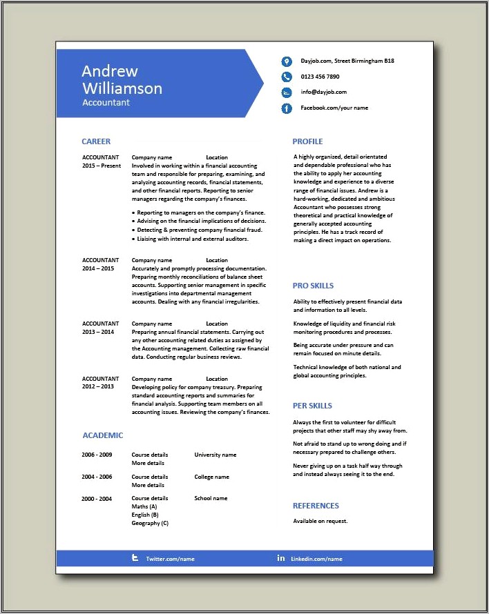 Professional Profile Resume Examples Accounting