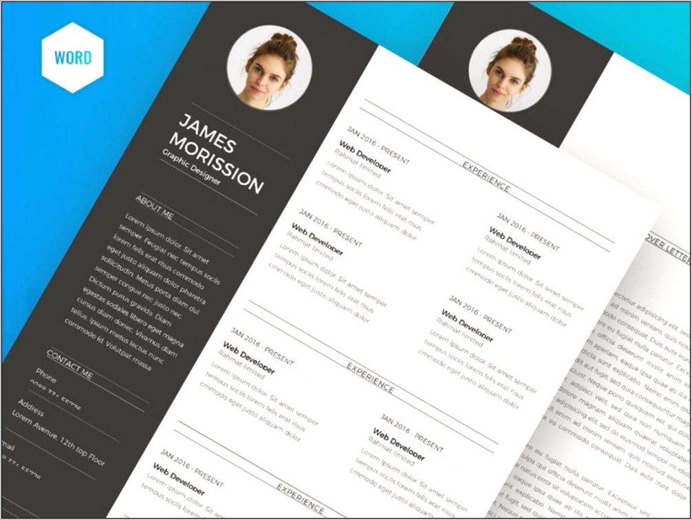 Professional Resume Format Free Download