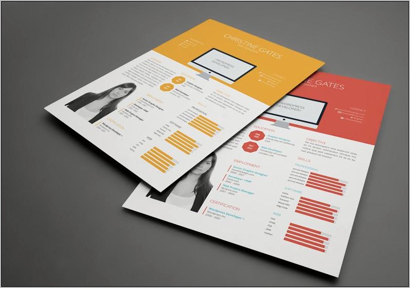 Professional Resume Template Indesign Free