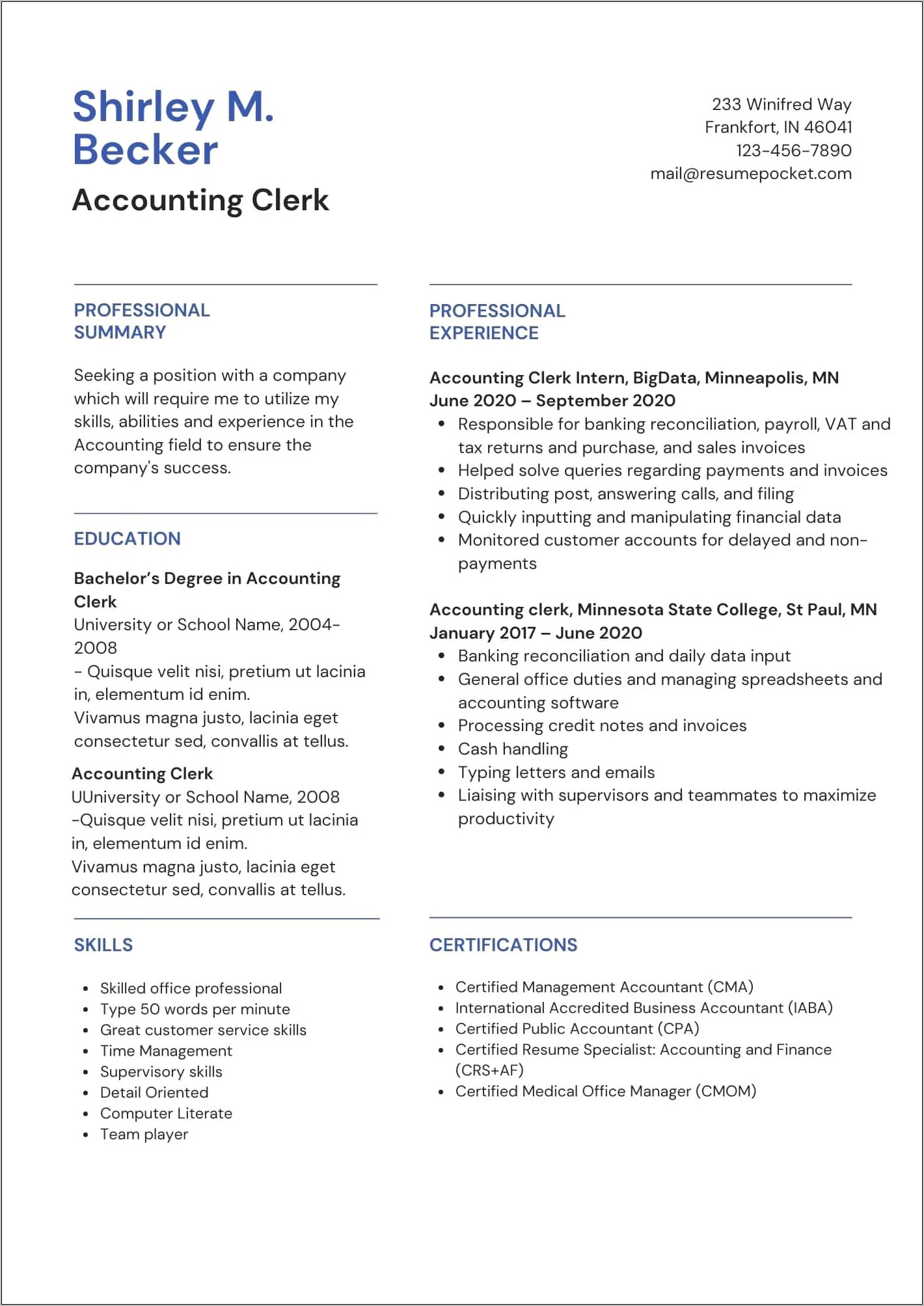 Professional Summary Resume Examples Accounting