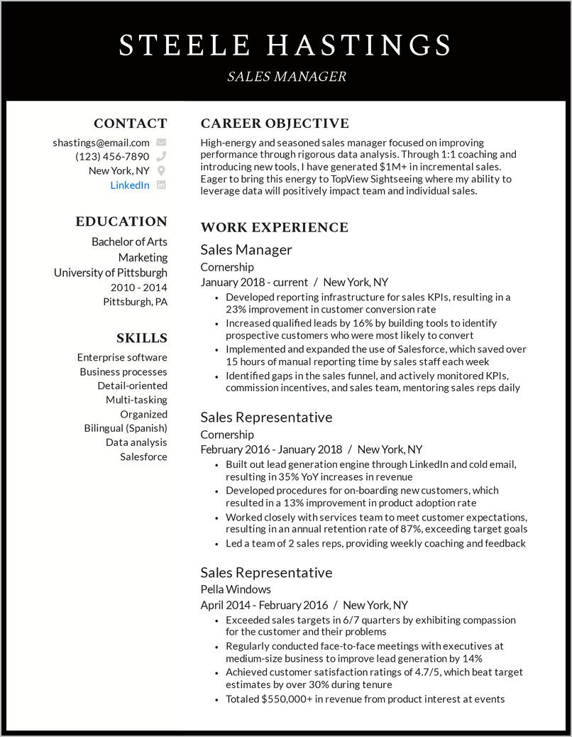 Professional Summary Resume Examples Sales