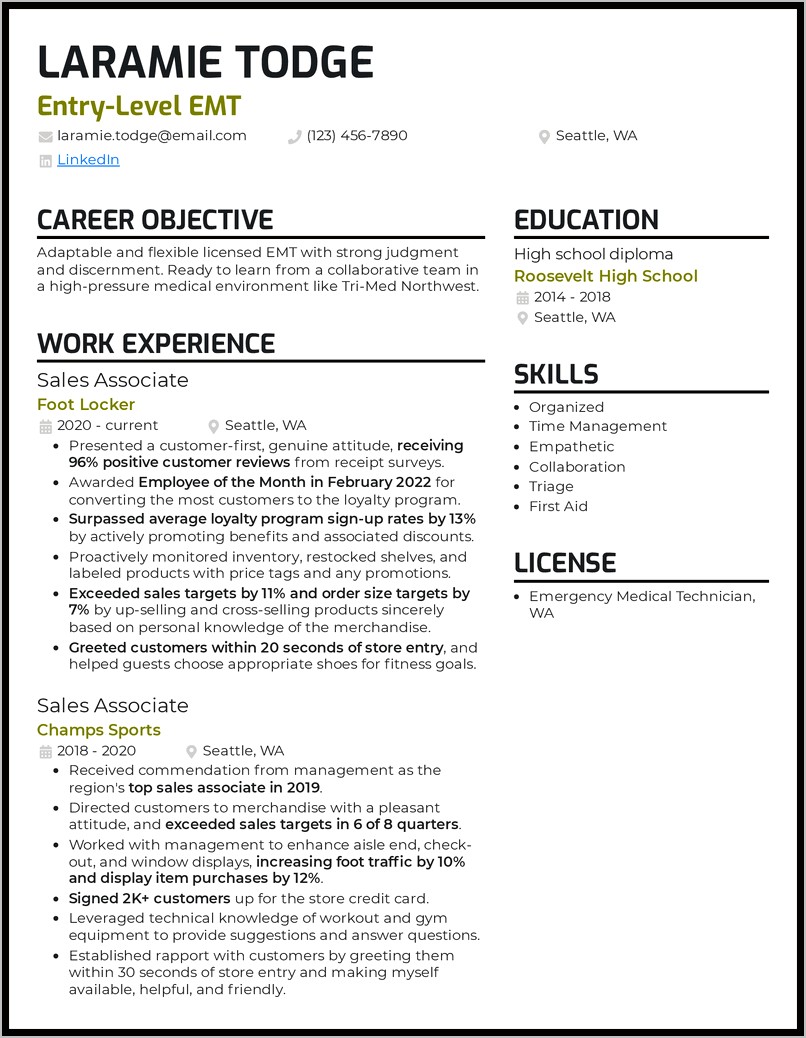 Professional Summary Resume Sample Emt