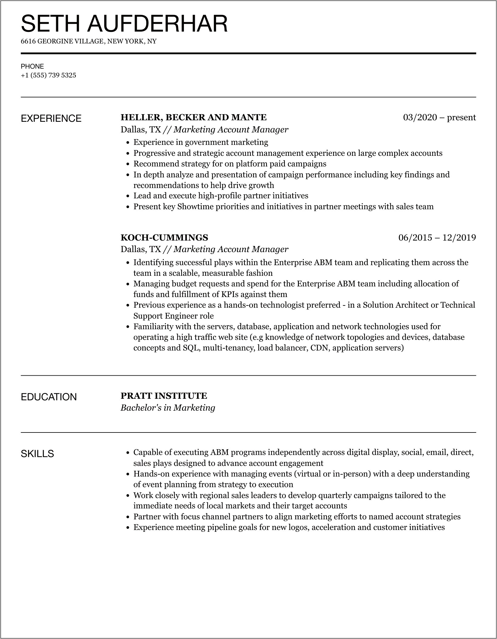 Professional Summary Resume Sample Marketing