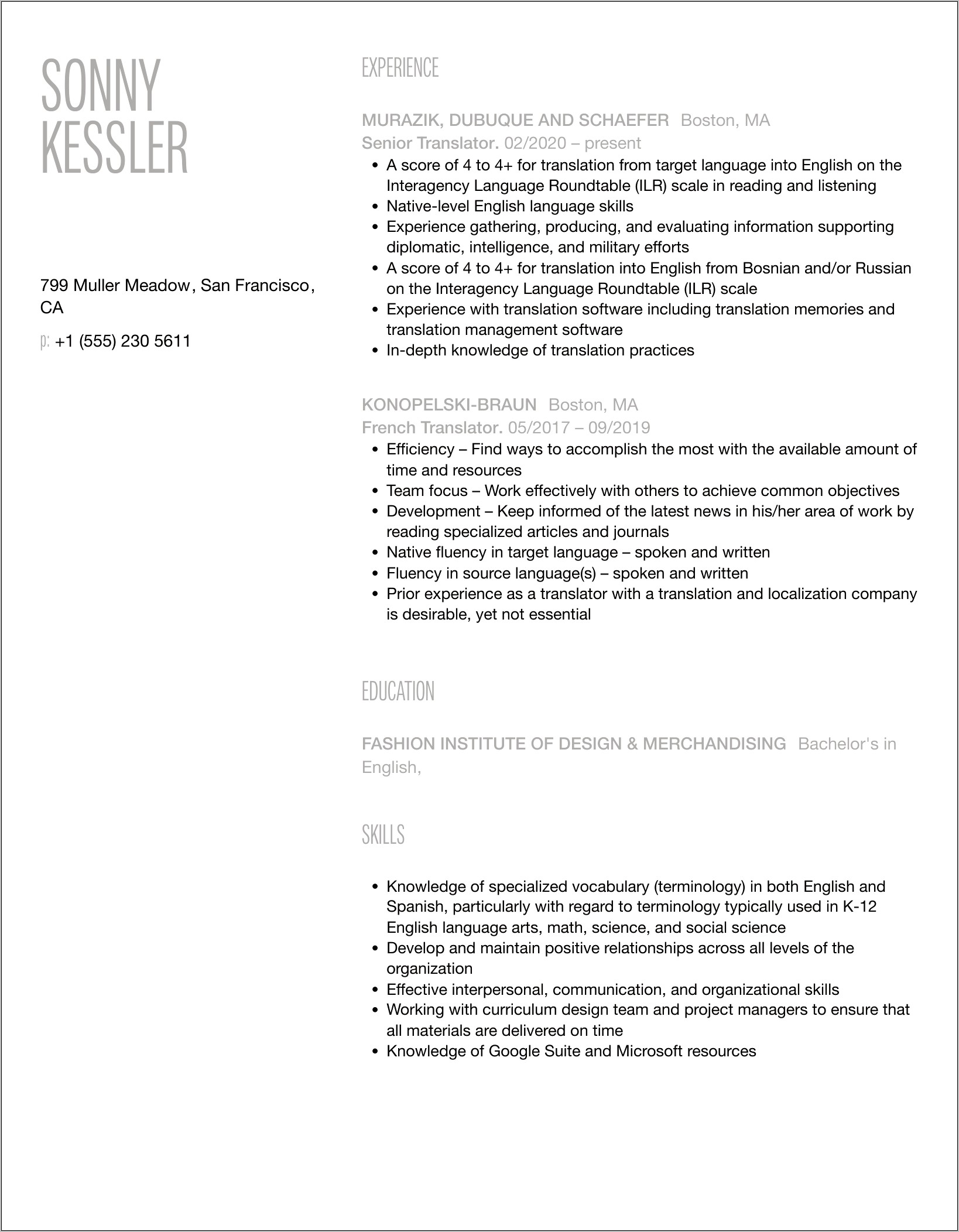 Professional Summary Resume Sample Translator