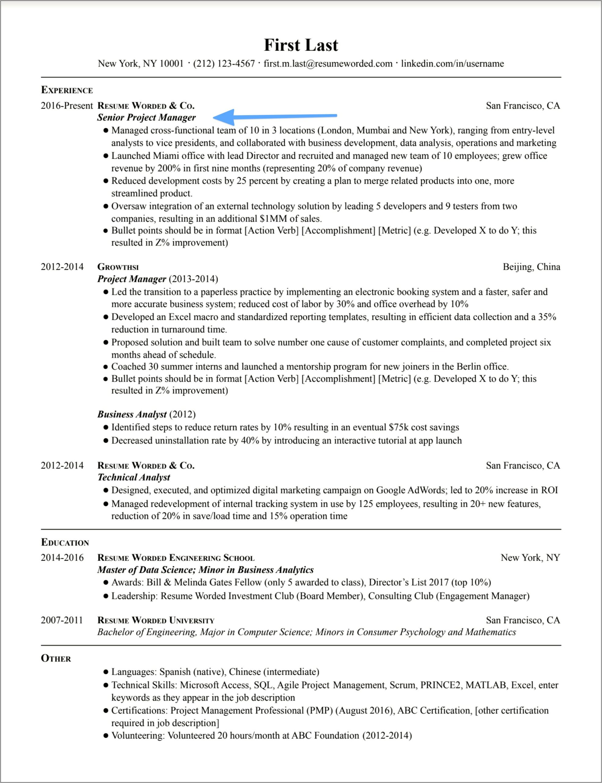 Prohect Manager Professional Profile Resume