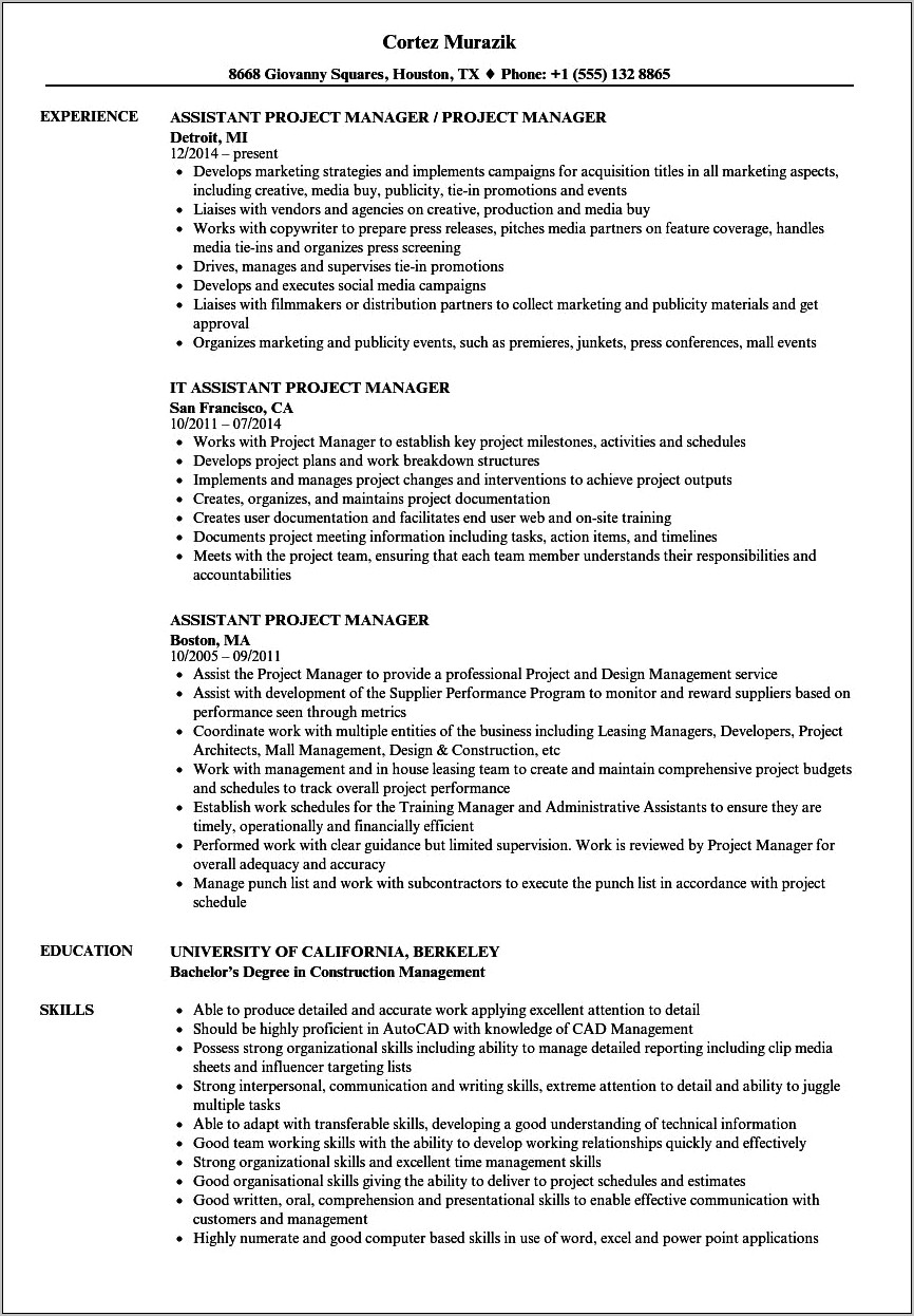 Project Management Faculty Assistant Resume