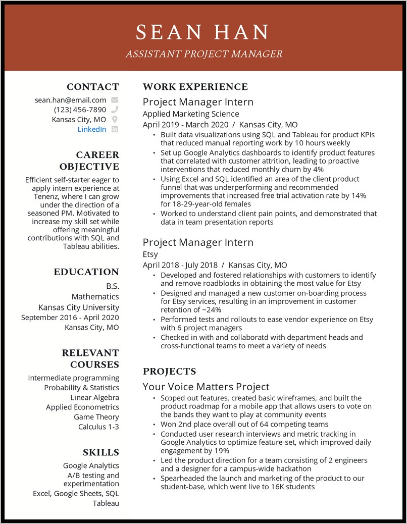 Project Management Resume Objectives Examples