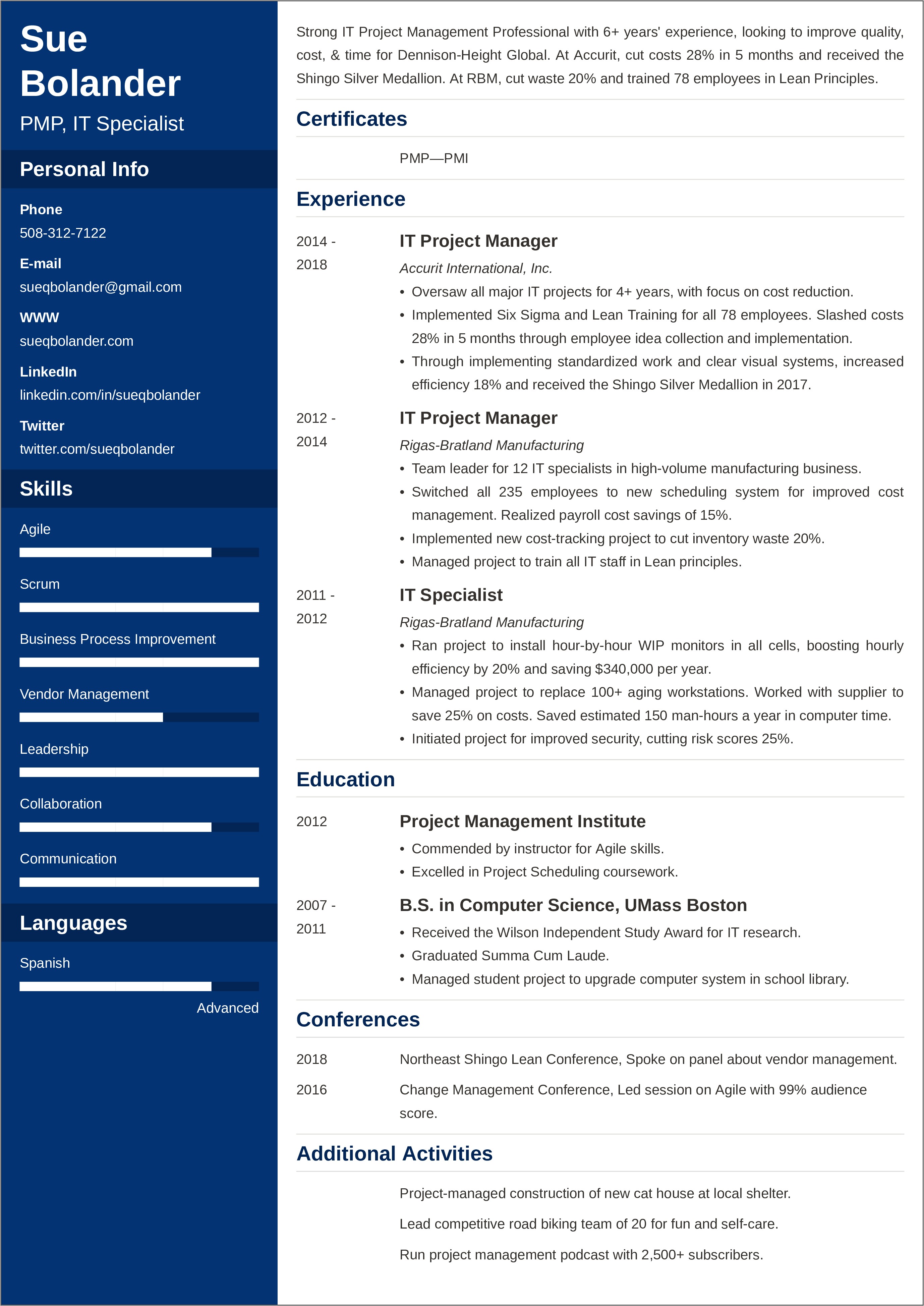 Project Management Resume Summary Samples