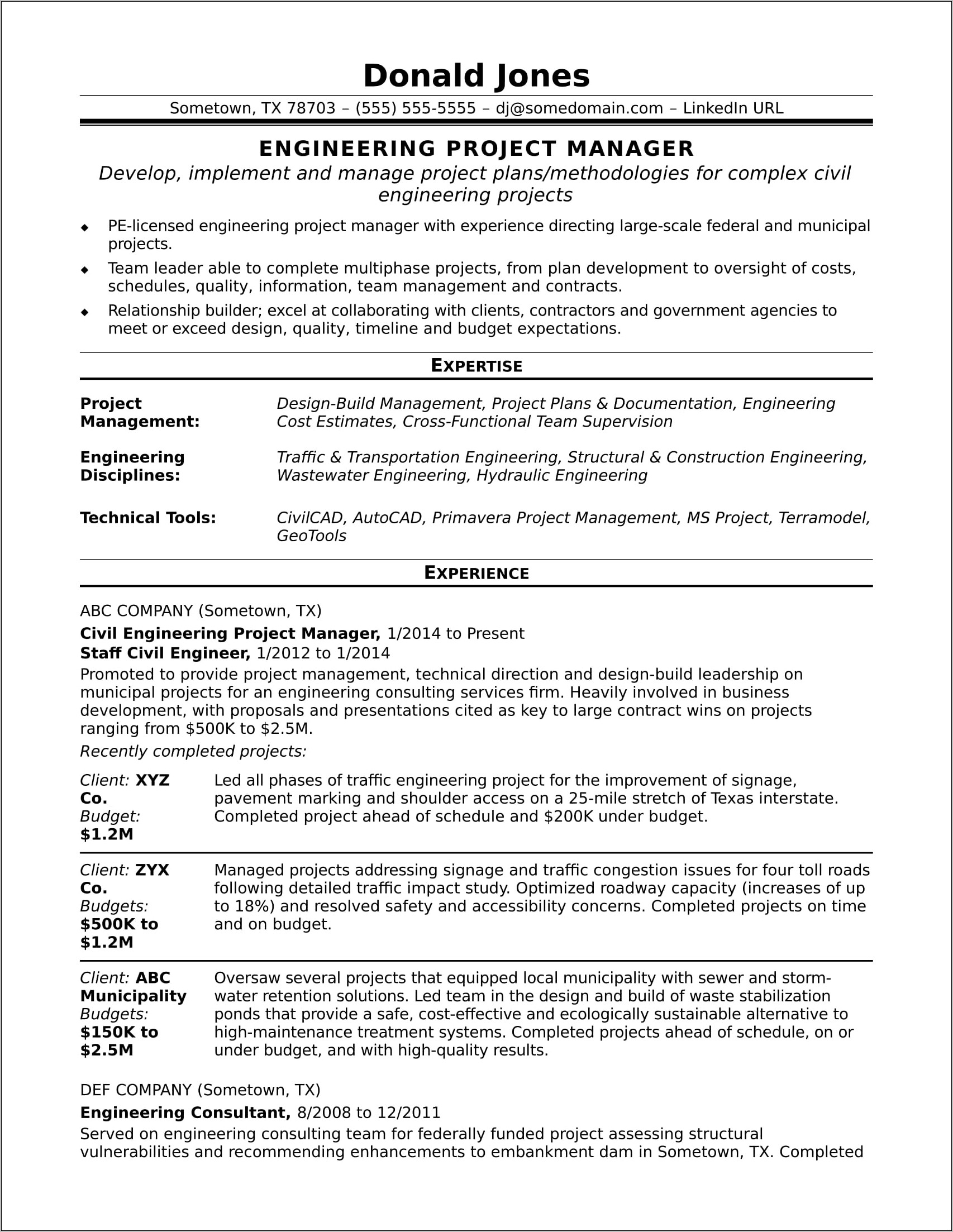 Project Manager Consultant Sample Resume