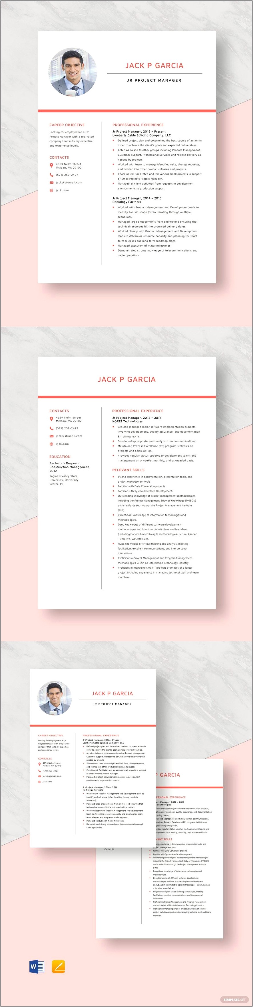 Project Manager Resume Free Download