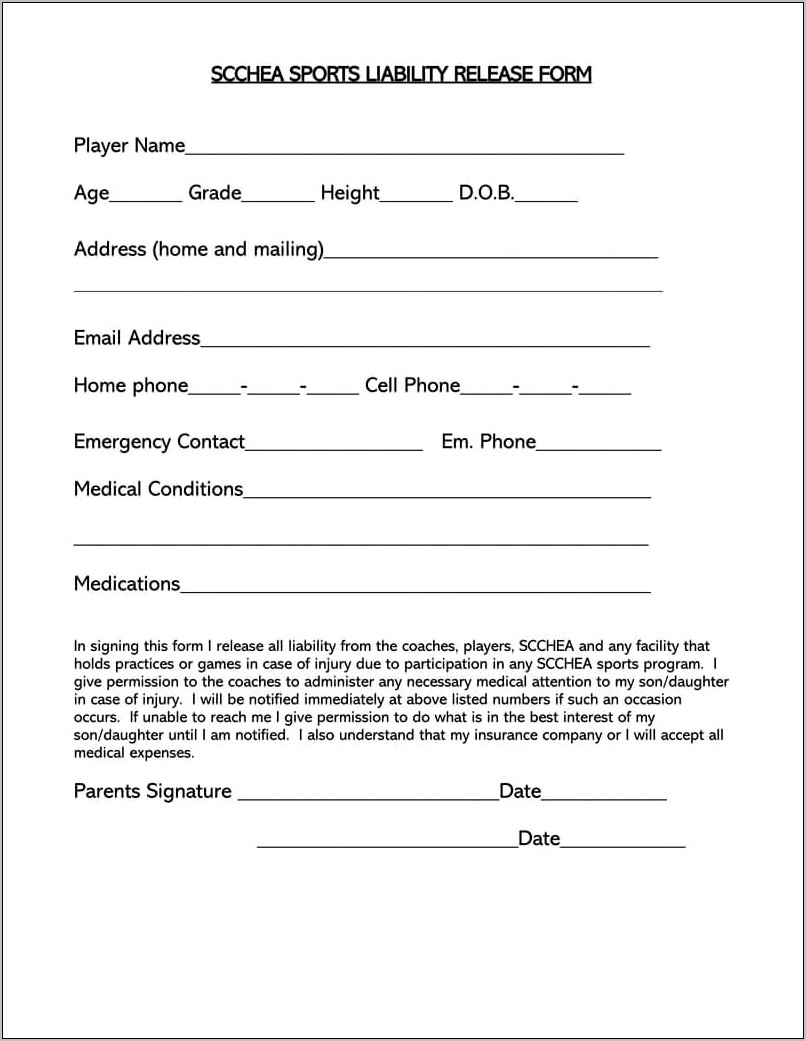 Release Of Responsibility Form Car Accident Free Template