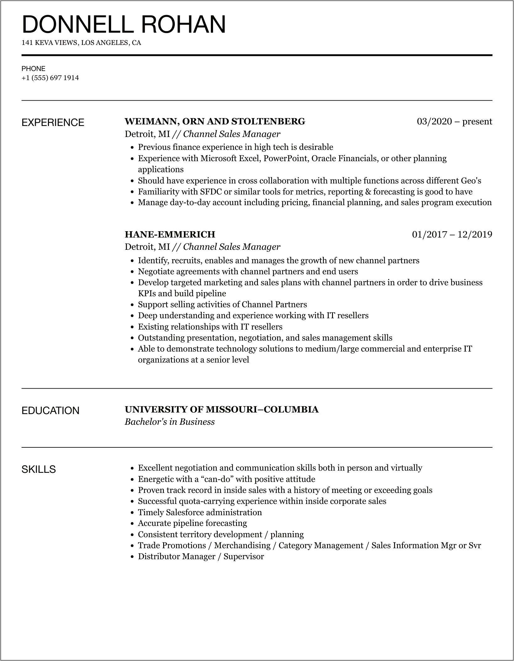 Resume Business Development Channel Manager