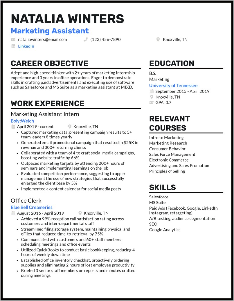 Resume Example For Marketing Job