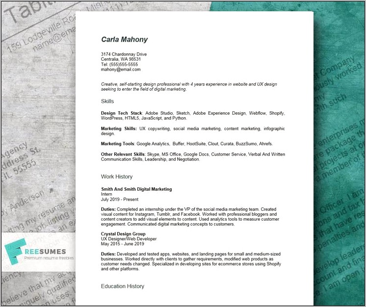 Resume Examples 2019 For Professionals