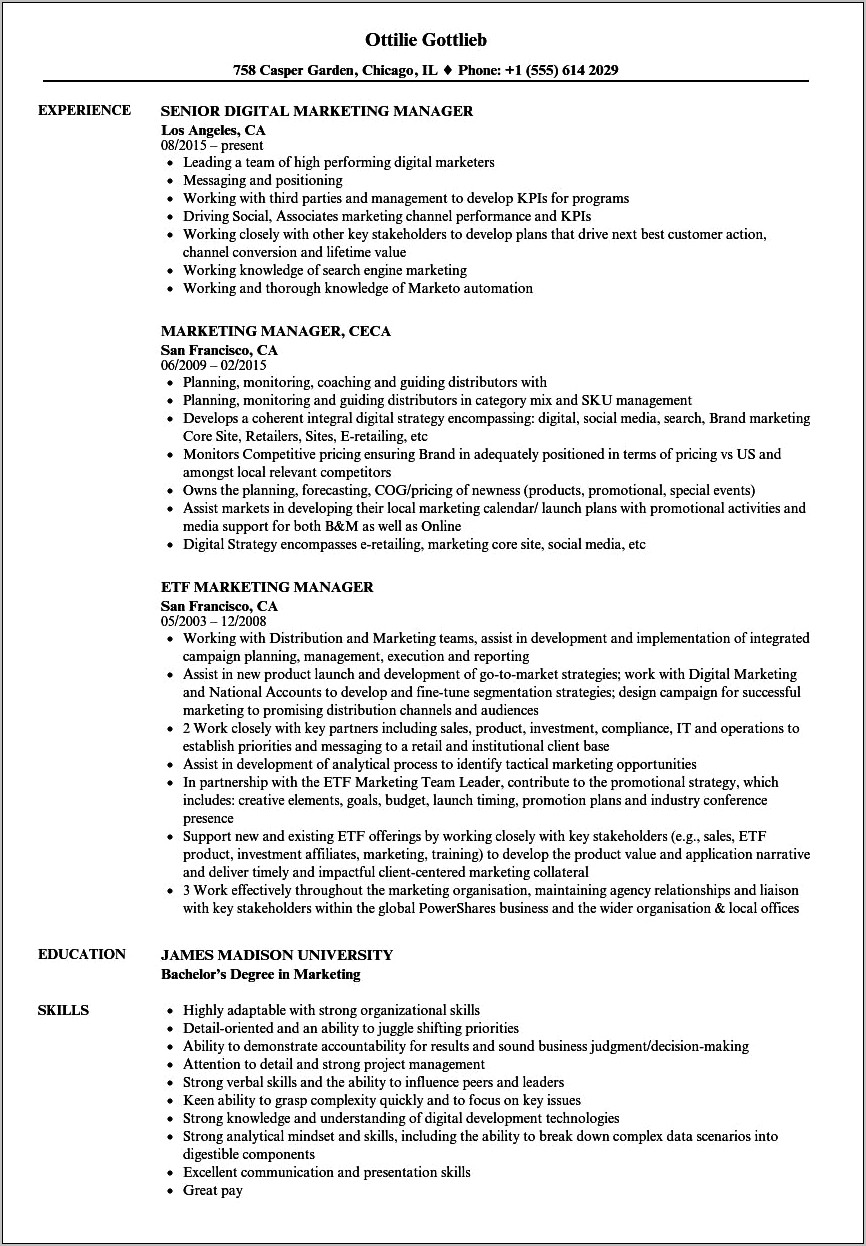 Resume Examples Digital Marketing Manager